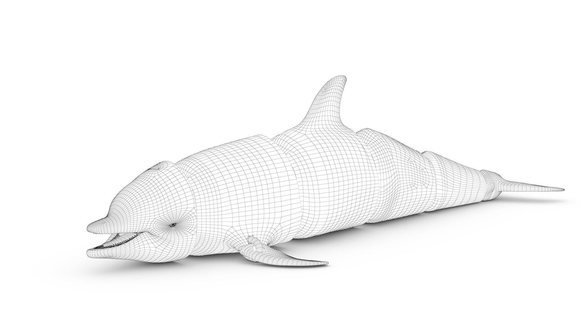 Articulated Dolphin 3D print model_7