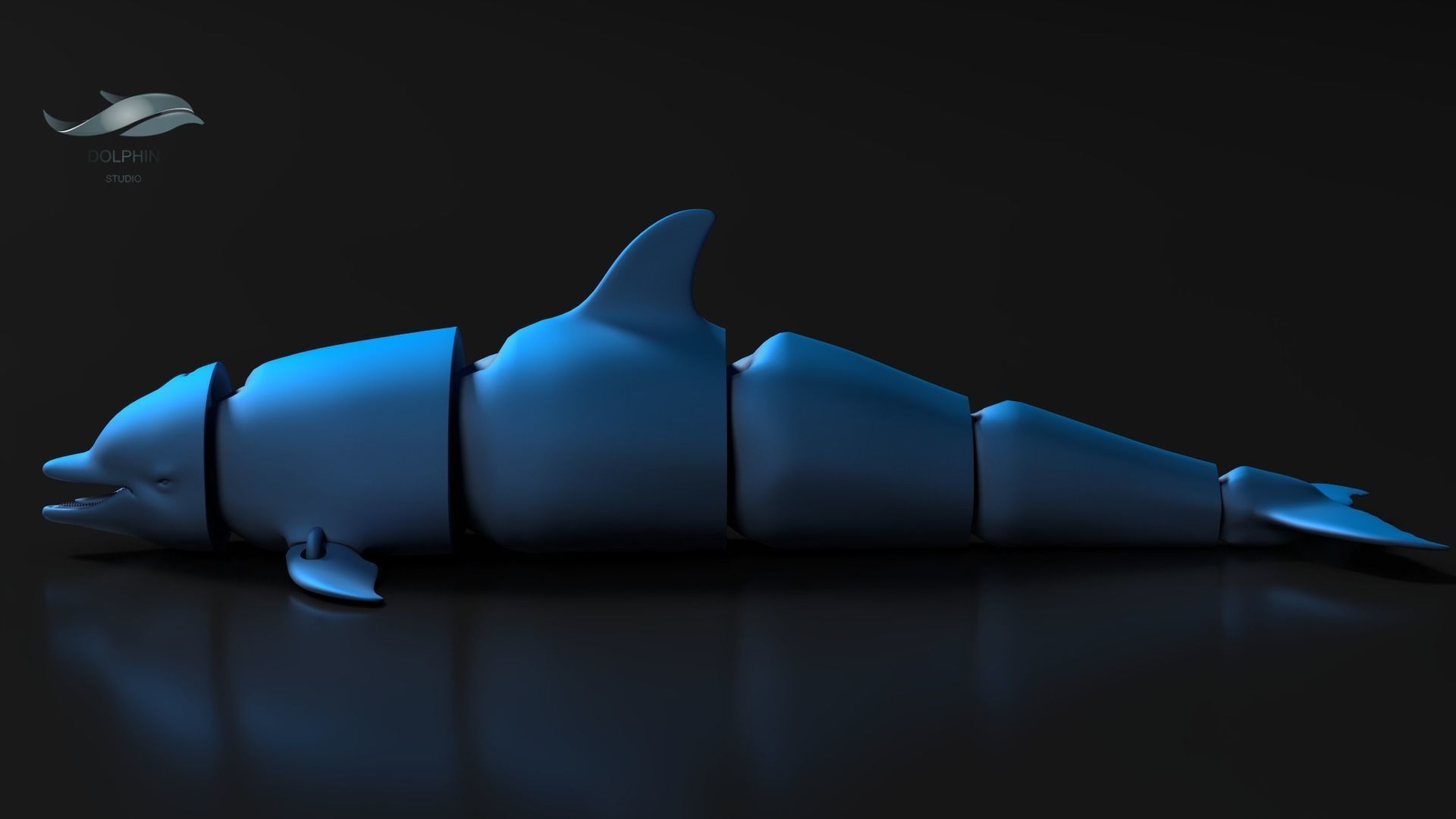 Articulated Dolphin 3D print model_3