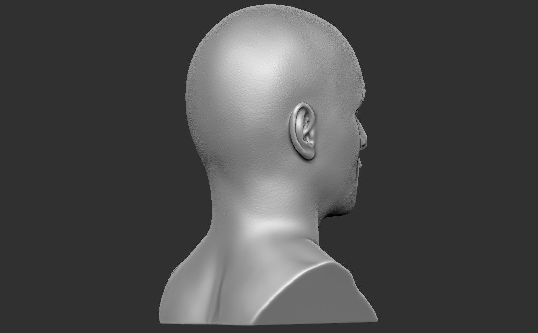 James McAvoy bust for 3D printing 3D print model_12