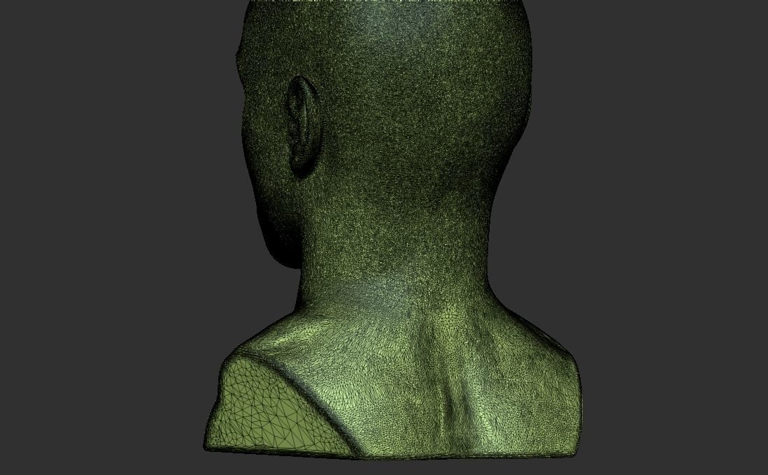 James McAvoy bust for 3D printing 3D print model_32