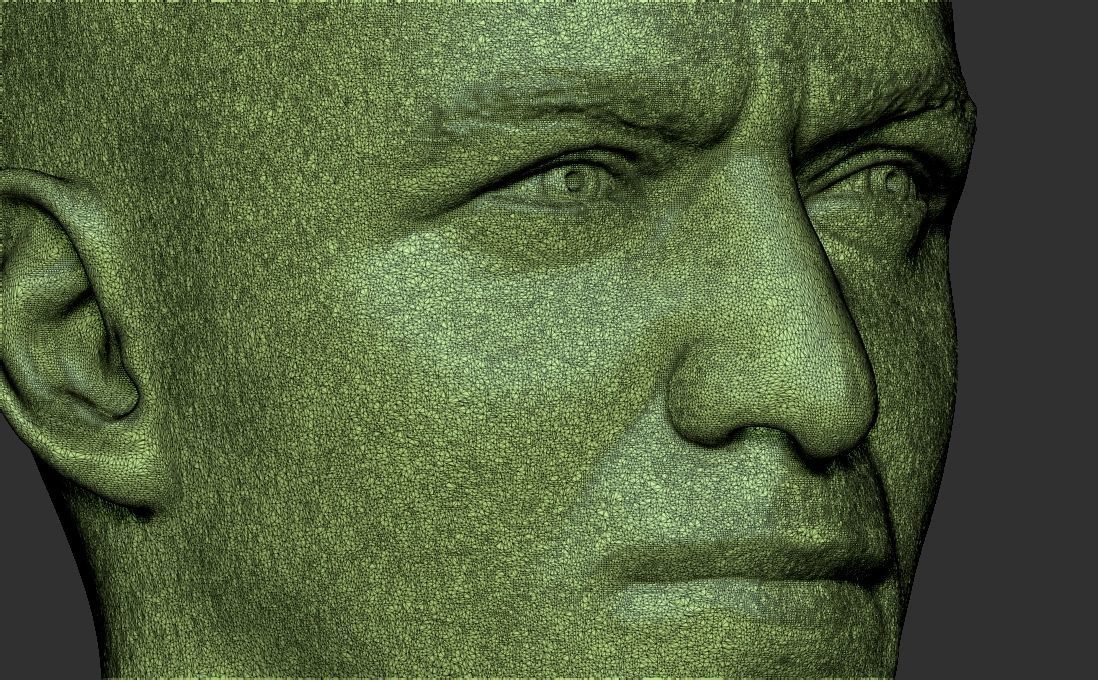 James McAvoy bust for 3D printing 3D print model_29