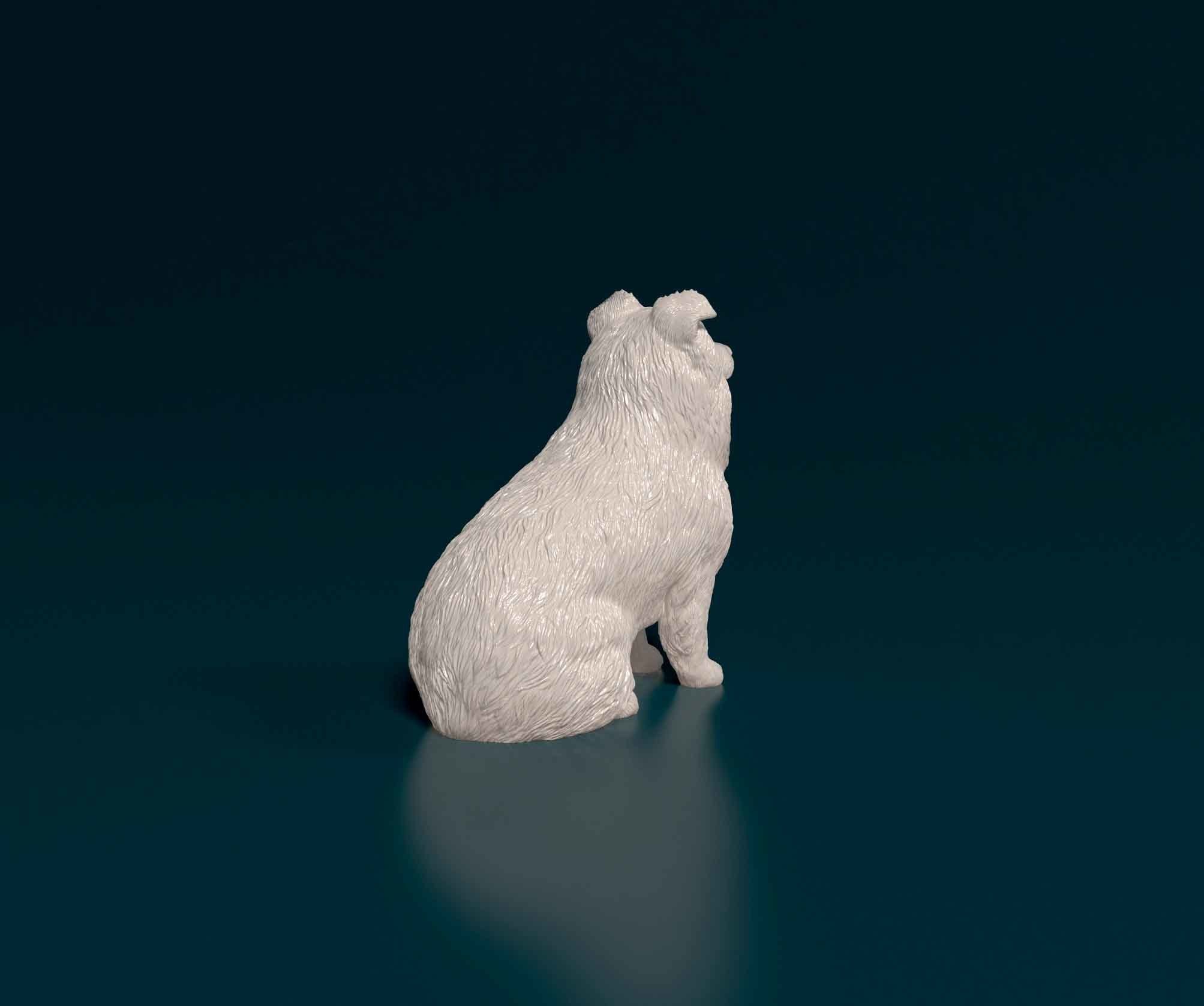 Mini Australian Shepherd 3D print model_2