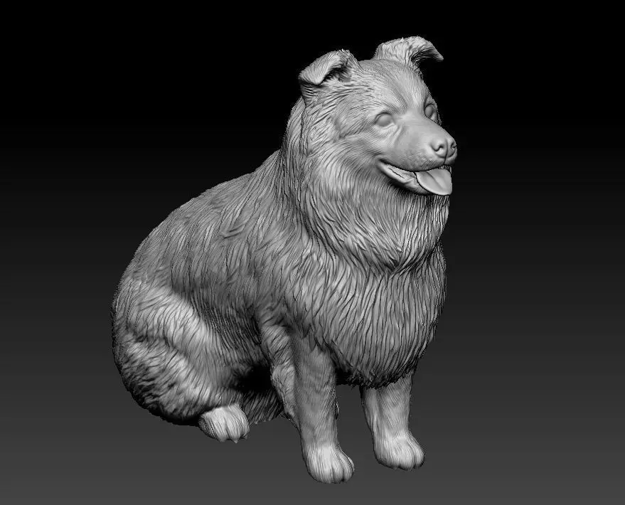 Mini Australian Shepherd 3D print model_8