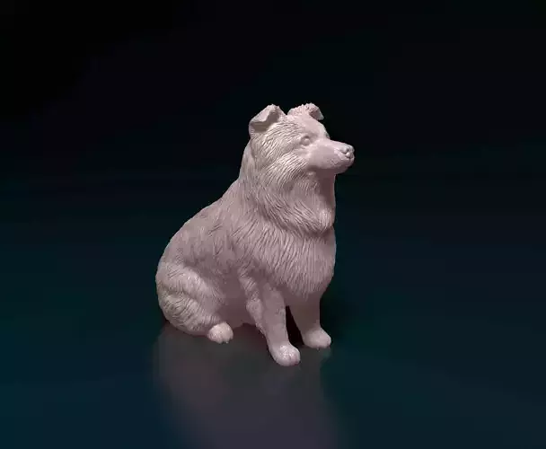 Mini Australian Shepherd 3D print model