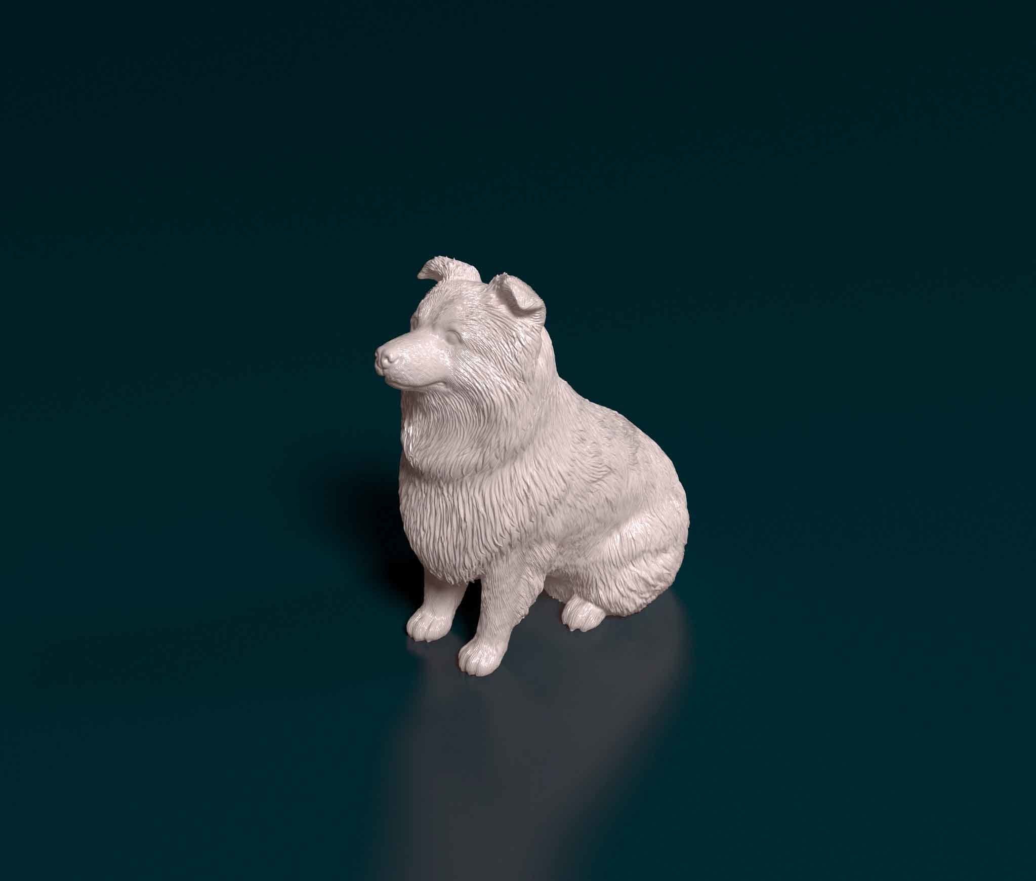 Mini Australian Shepherd 3D print model_5