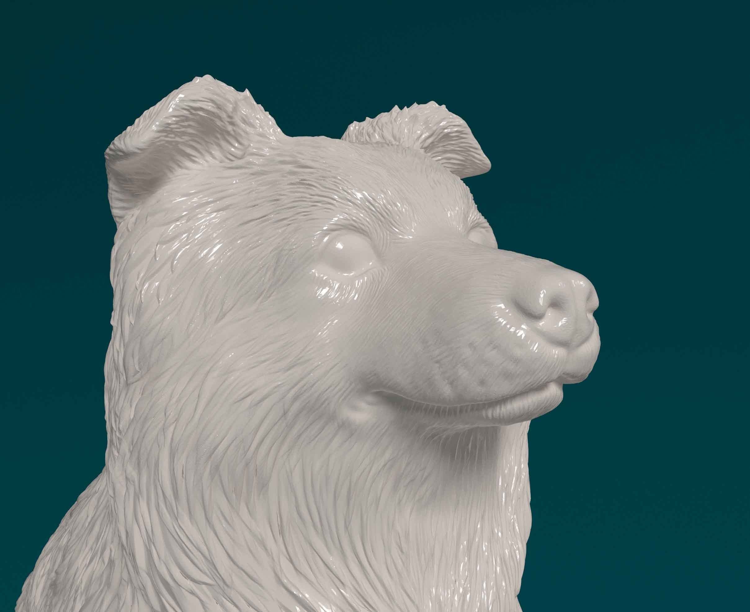 Mini Australian Shepherd 3D print model_6