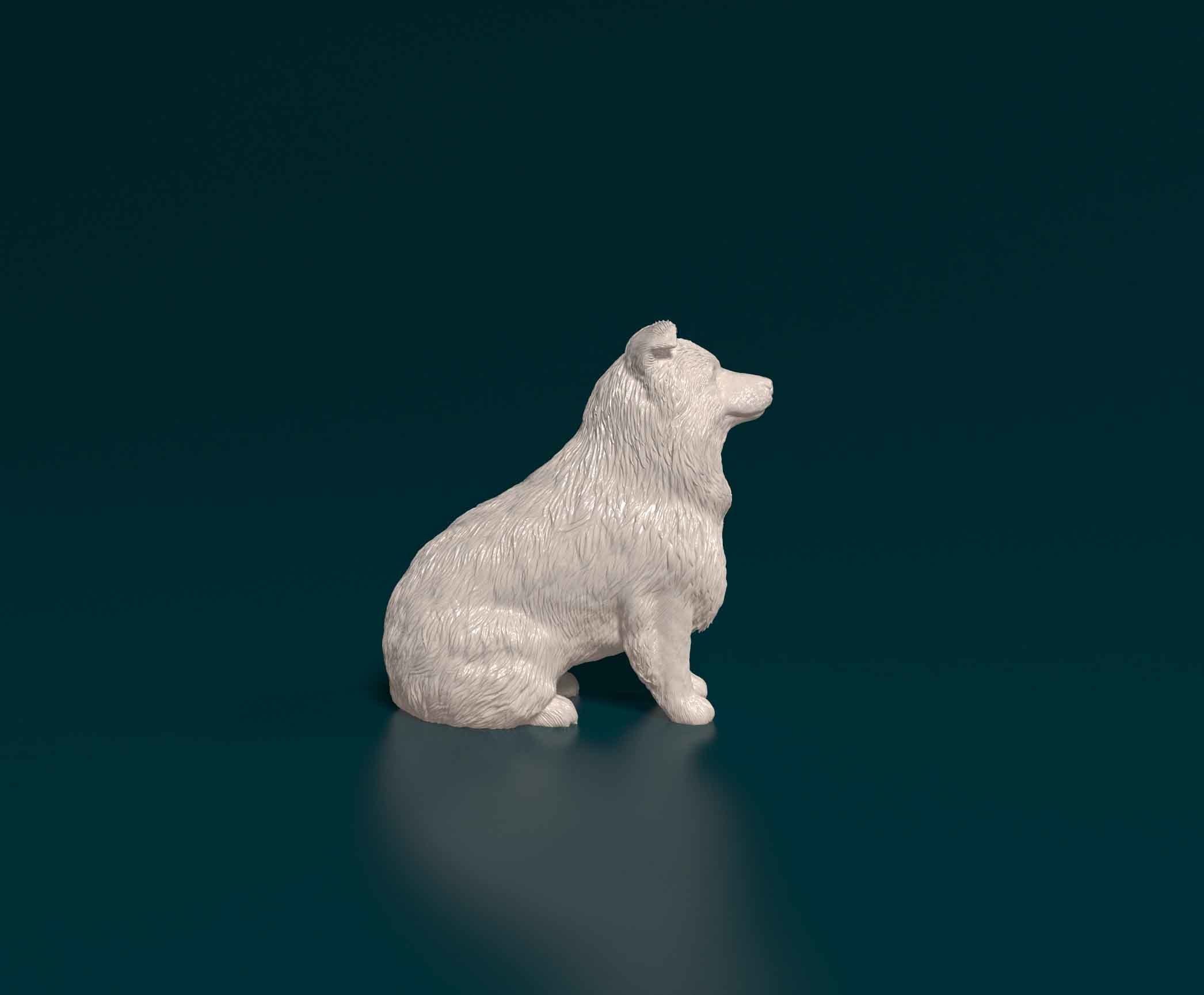 Mini Australian Shepherd 3D print model_1