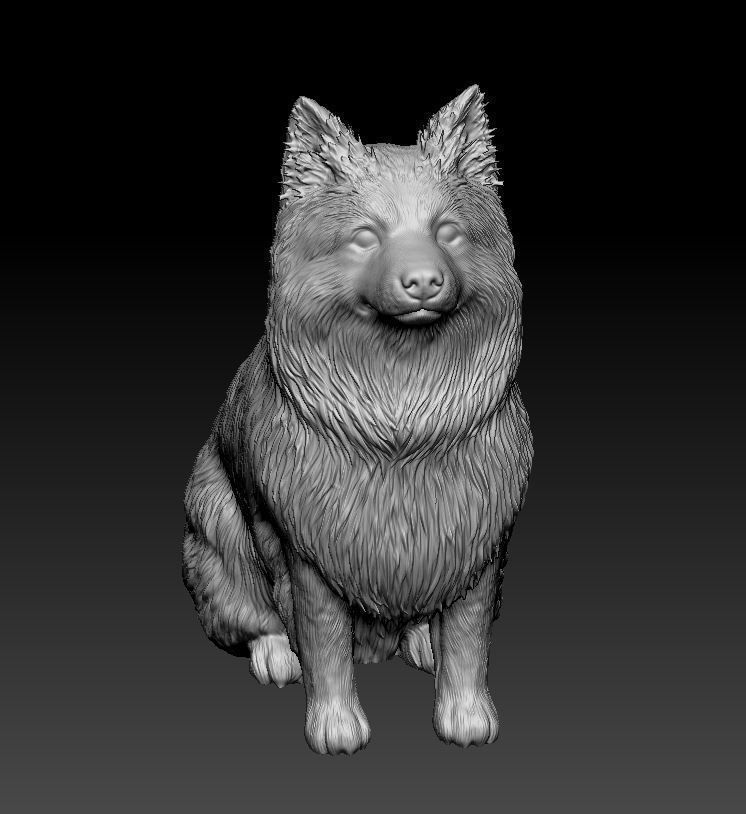 Mini Australian Shepherd 3D print model_7