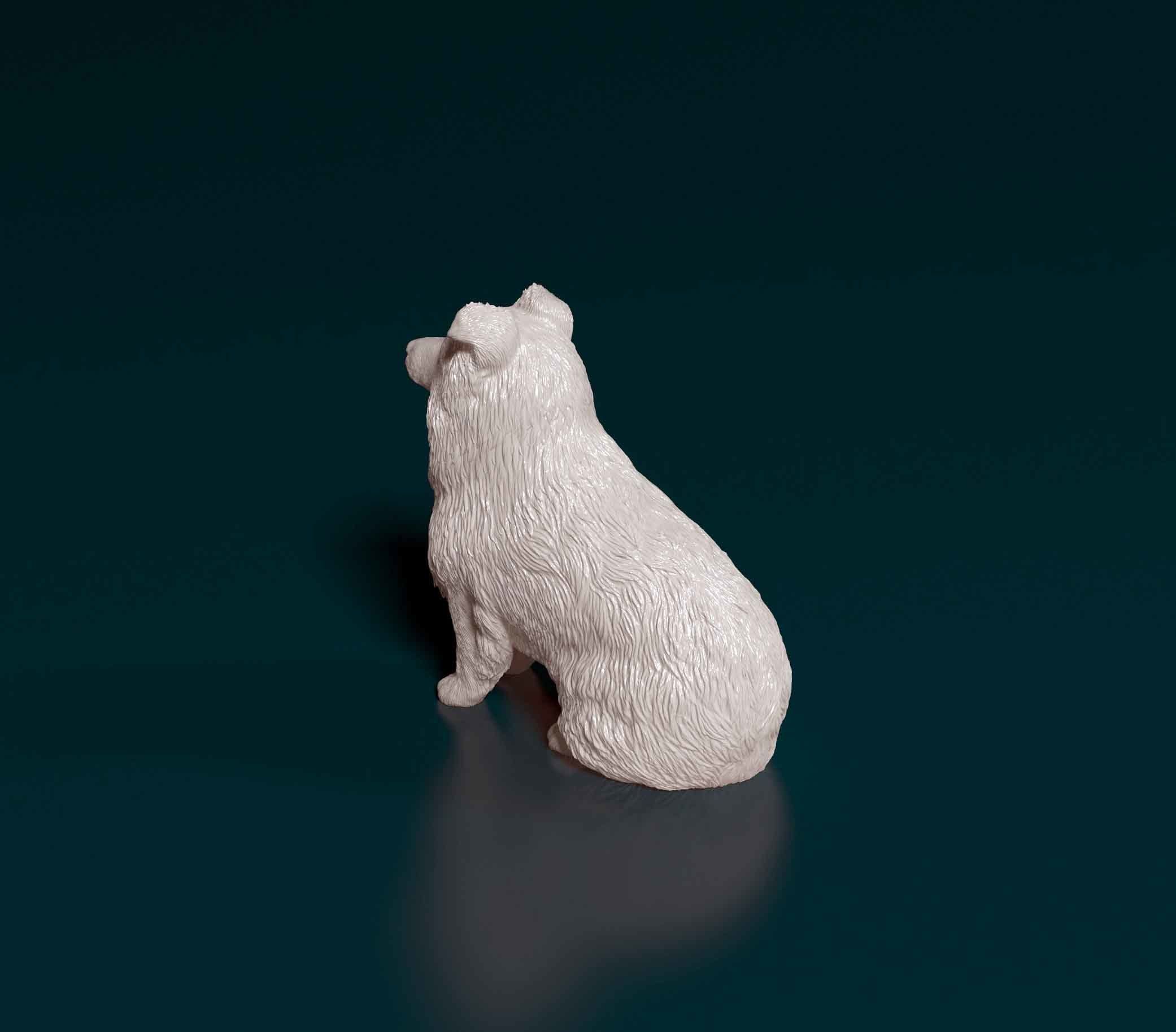 Mini Australian Shepherd 3D print model_4