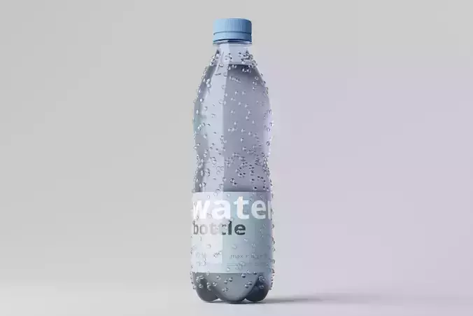 Water Bottle 3D model