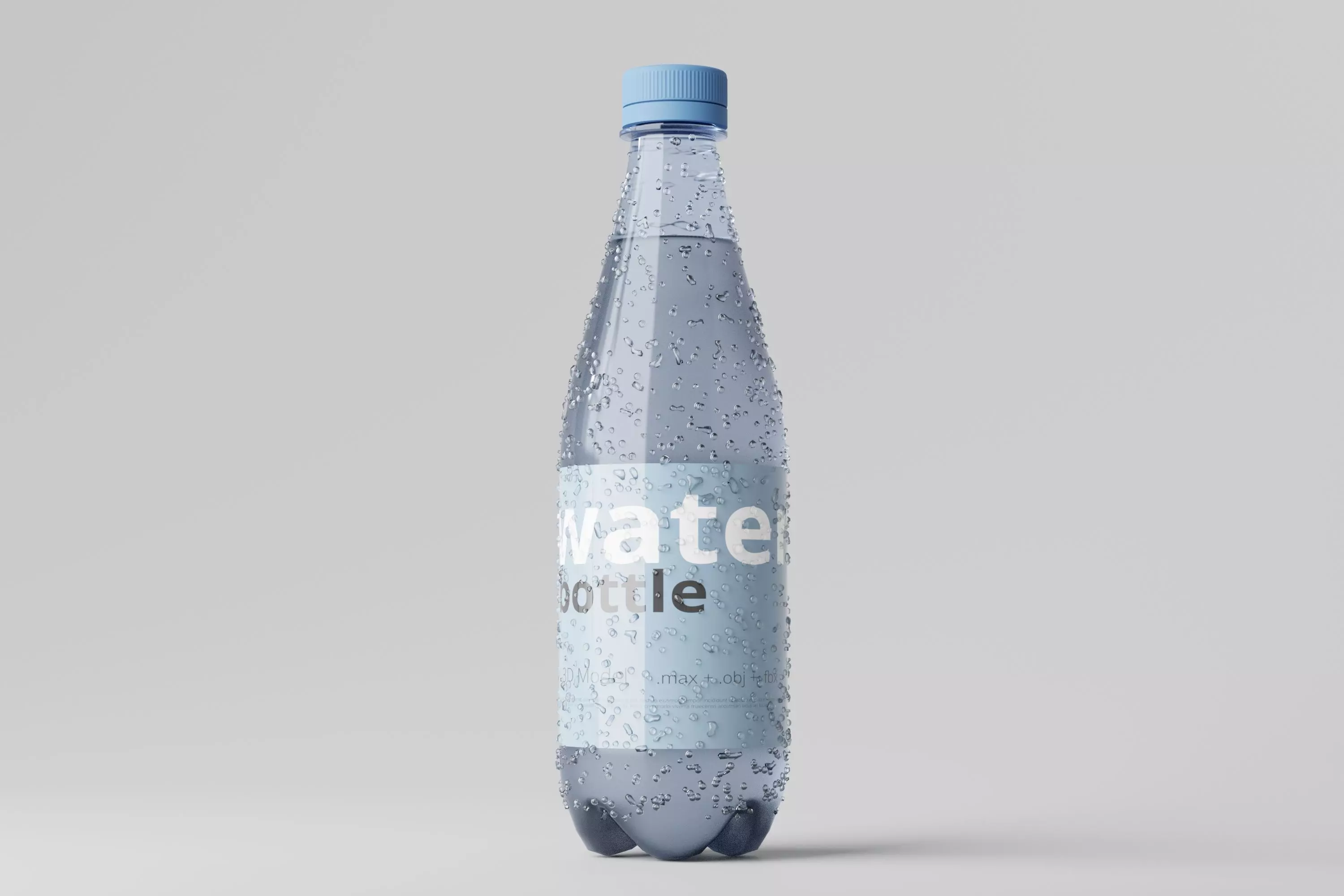 Water Bottle 3D model_0