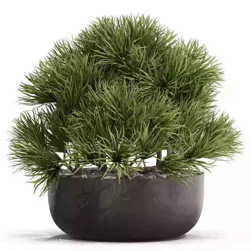 Plants collection 679 3D model