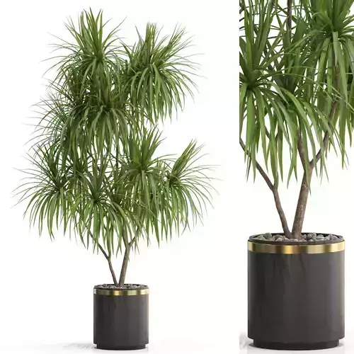 Plants collection 680 3D model