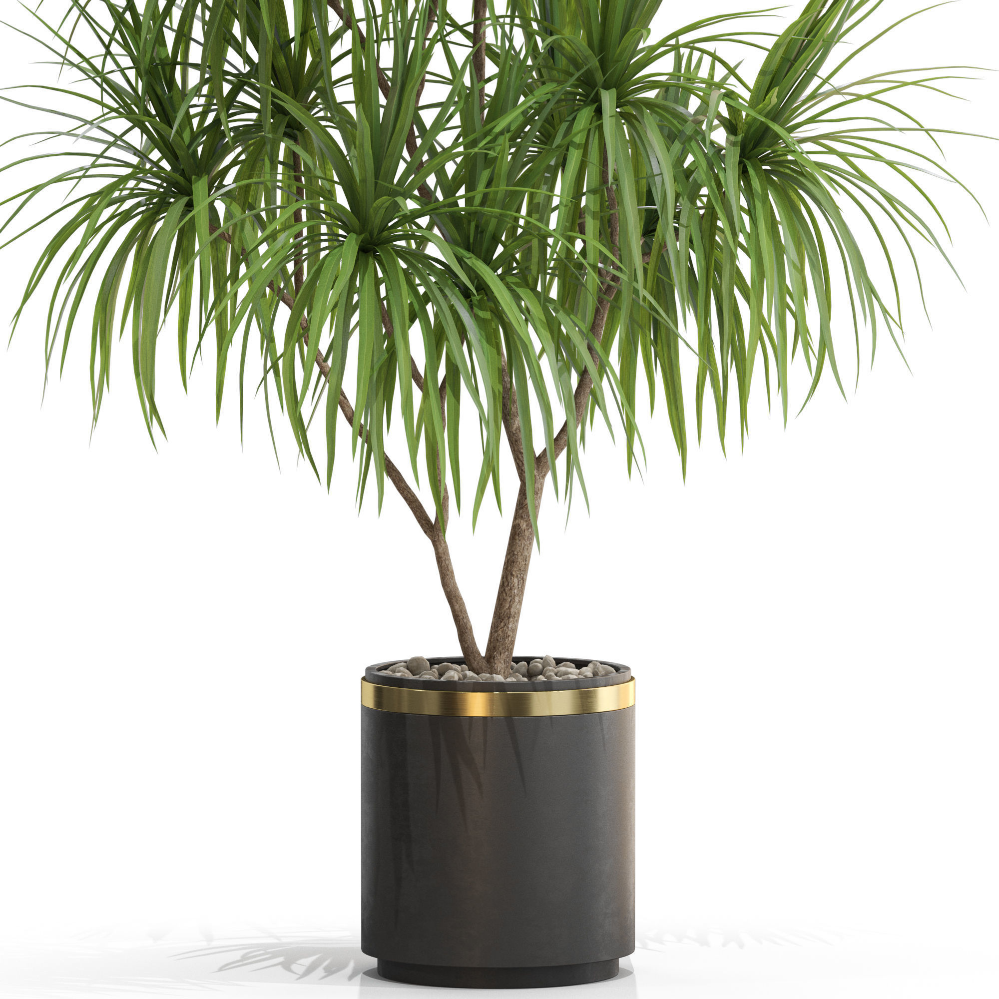 Plants collection 680 3D model_1