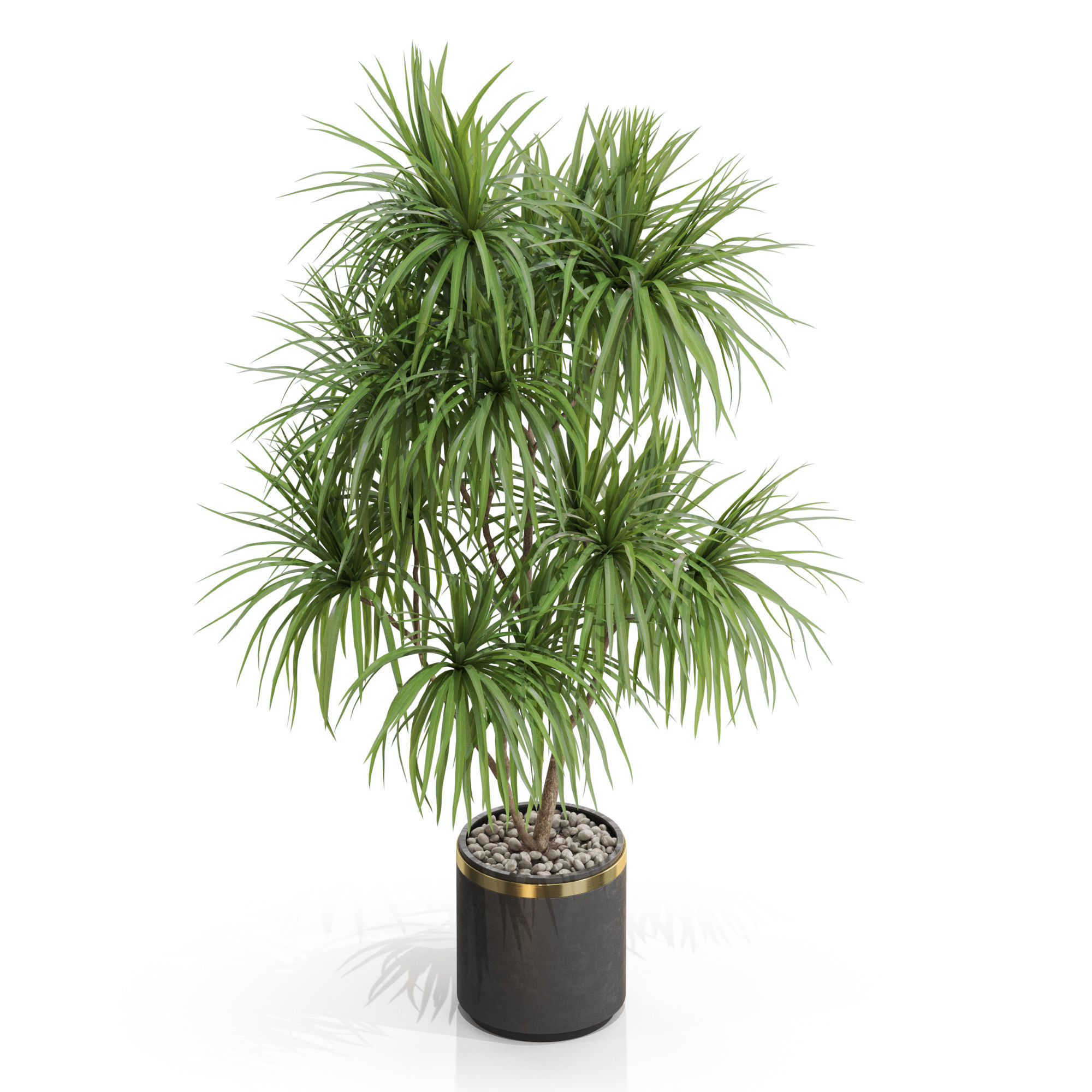 Plants collection 680 3D model_2