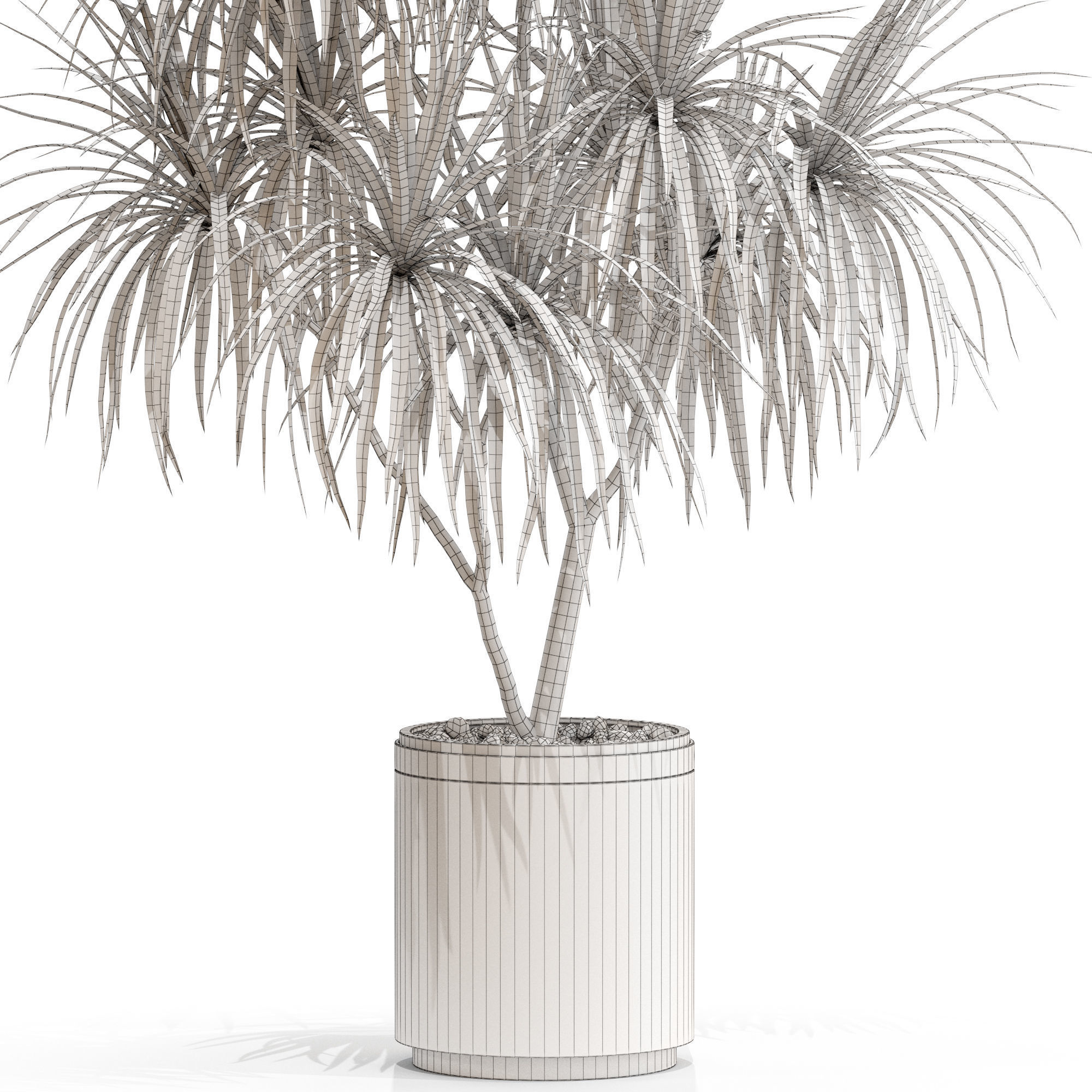 Plants collection 680 3D model_4