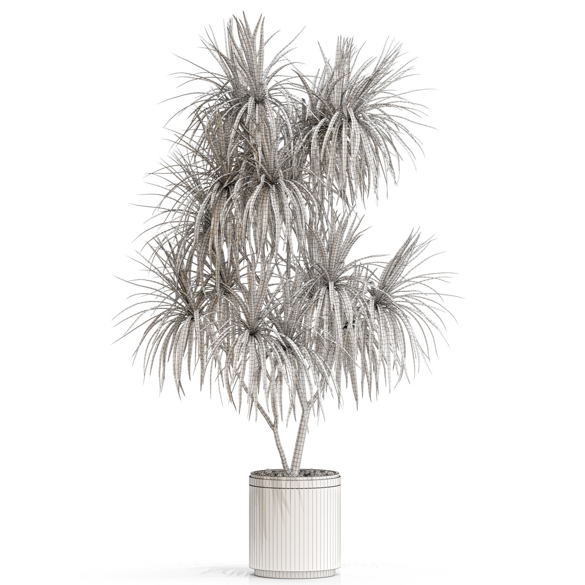 Plants collection 680 3D model_3