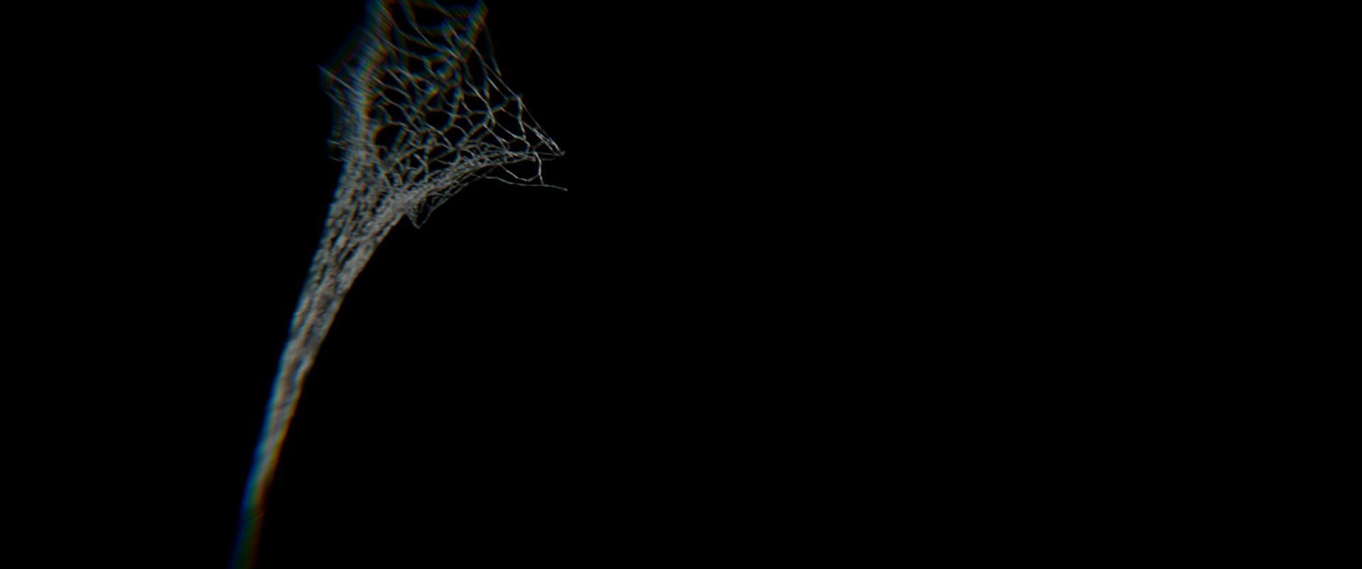 Spider-Man Web 3D Model 3D model_2