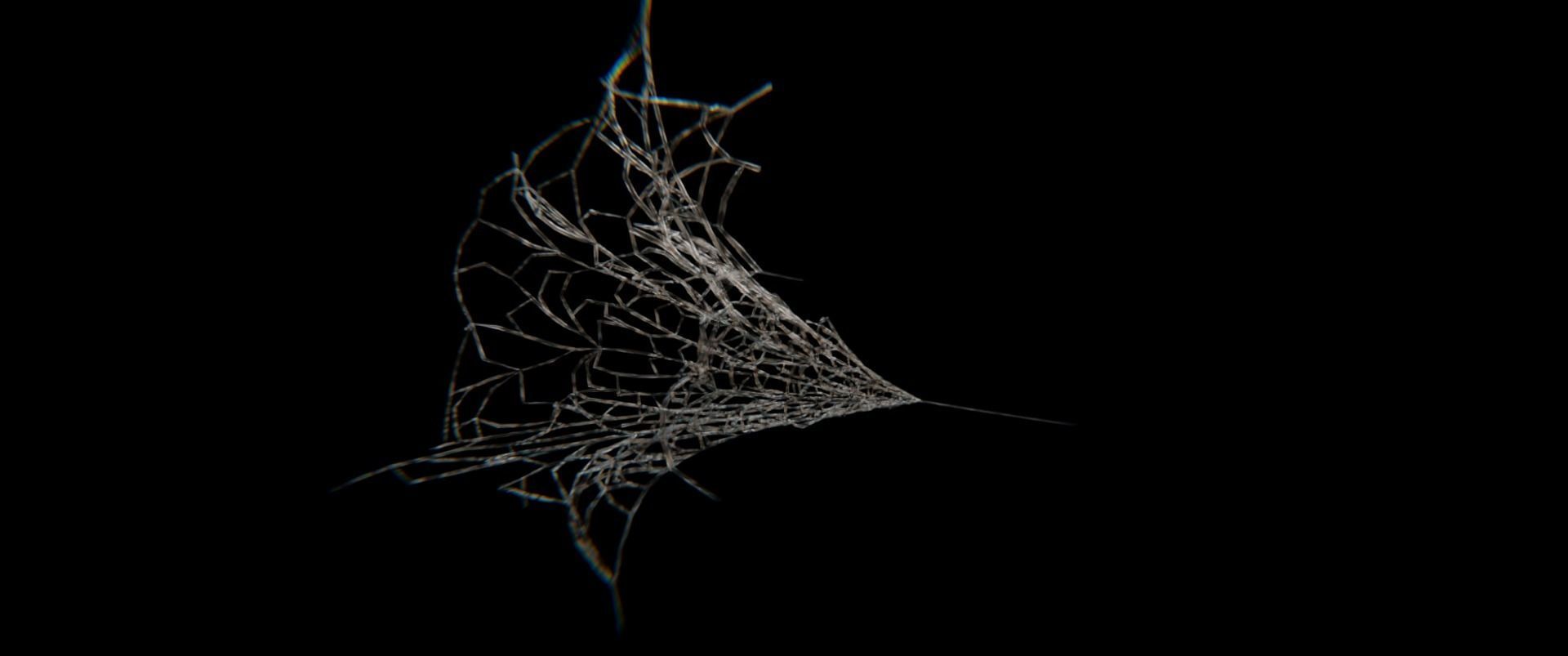 Spider-Man Web 3D Model 3D model_4