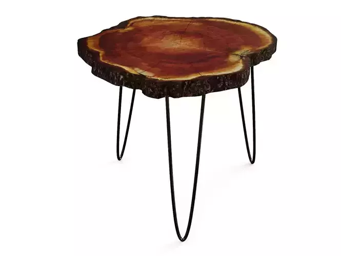 Tree Trunk Rustic Coffee Table 3D model