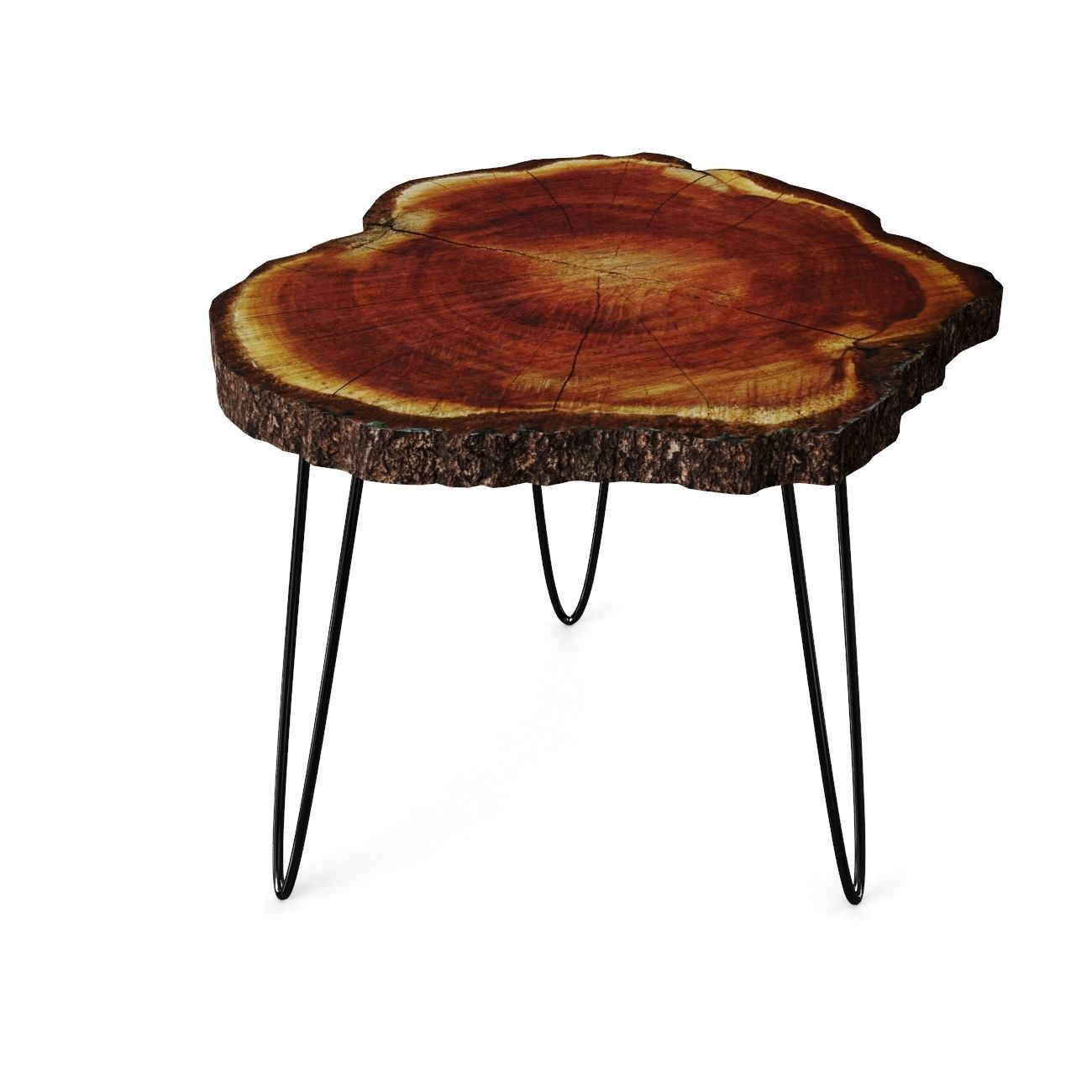 Tree Trunk Rustic Coffee Table 3D model_2