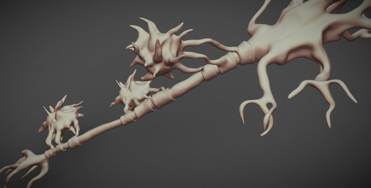 Neuron And Oligo-Dendrocytes  Low-poly 3D model_3