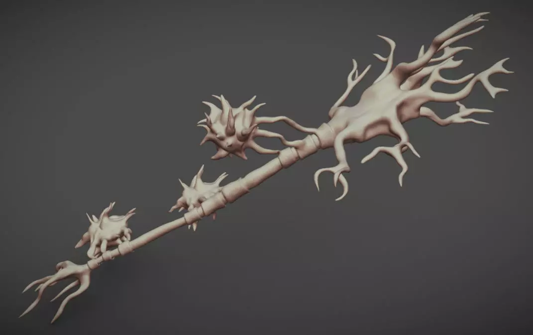 Neuron And Oligo-Dendrocytes  Low-poly 3D model_0