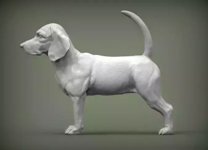Beagle dog 3D print model