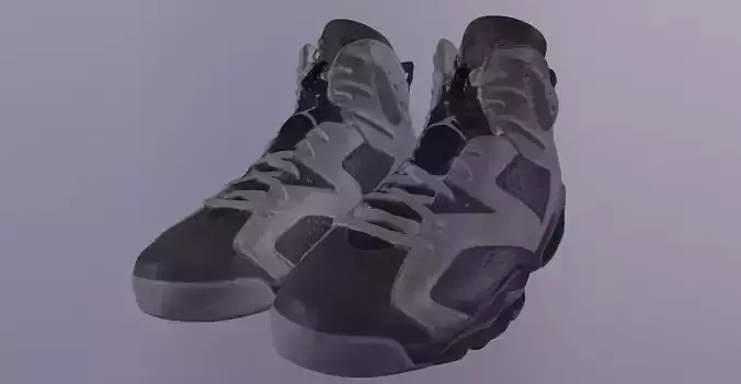 NIKE AIR JORDAN 6 SHOES PBR