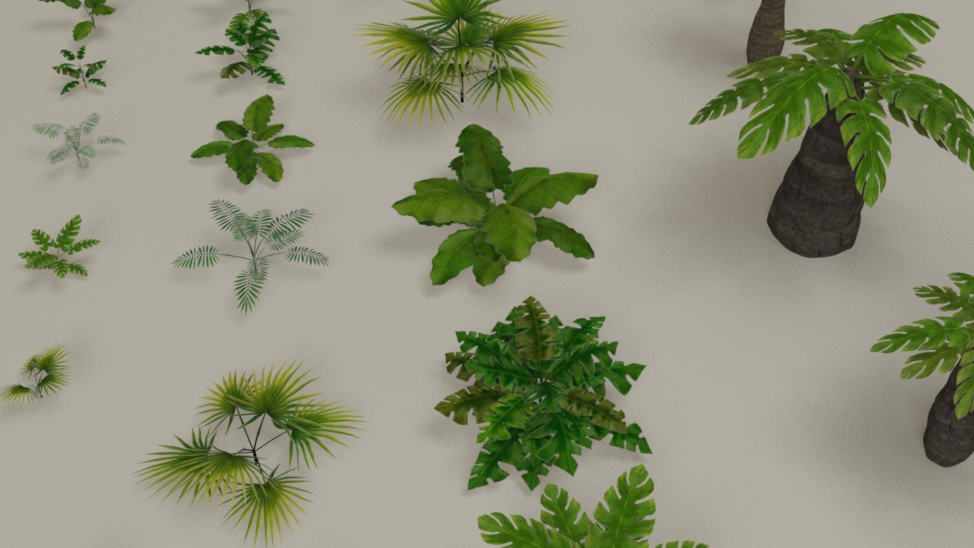 Tropical jungle plants and palms collection Low-poly 3D model_8