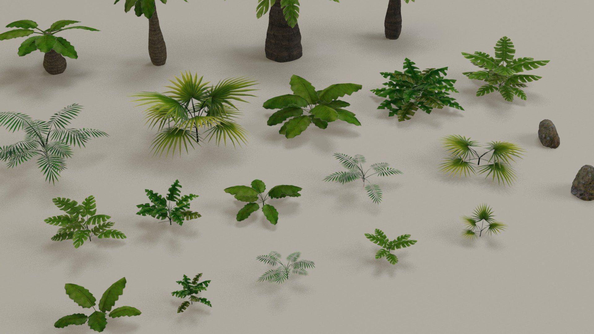 Tropical jungle plants and palms collection Low-poly 3D model_5