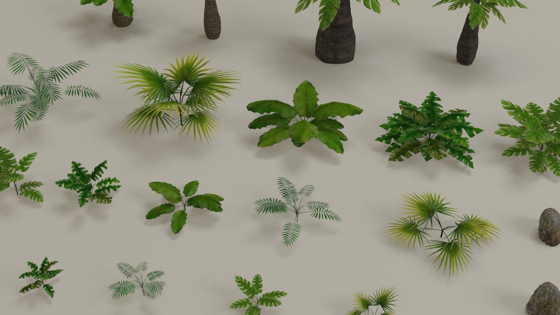 Tropical jungle plants and palms collection Low-poly 3D model_4