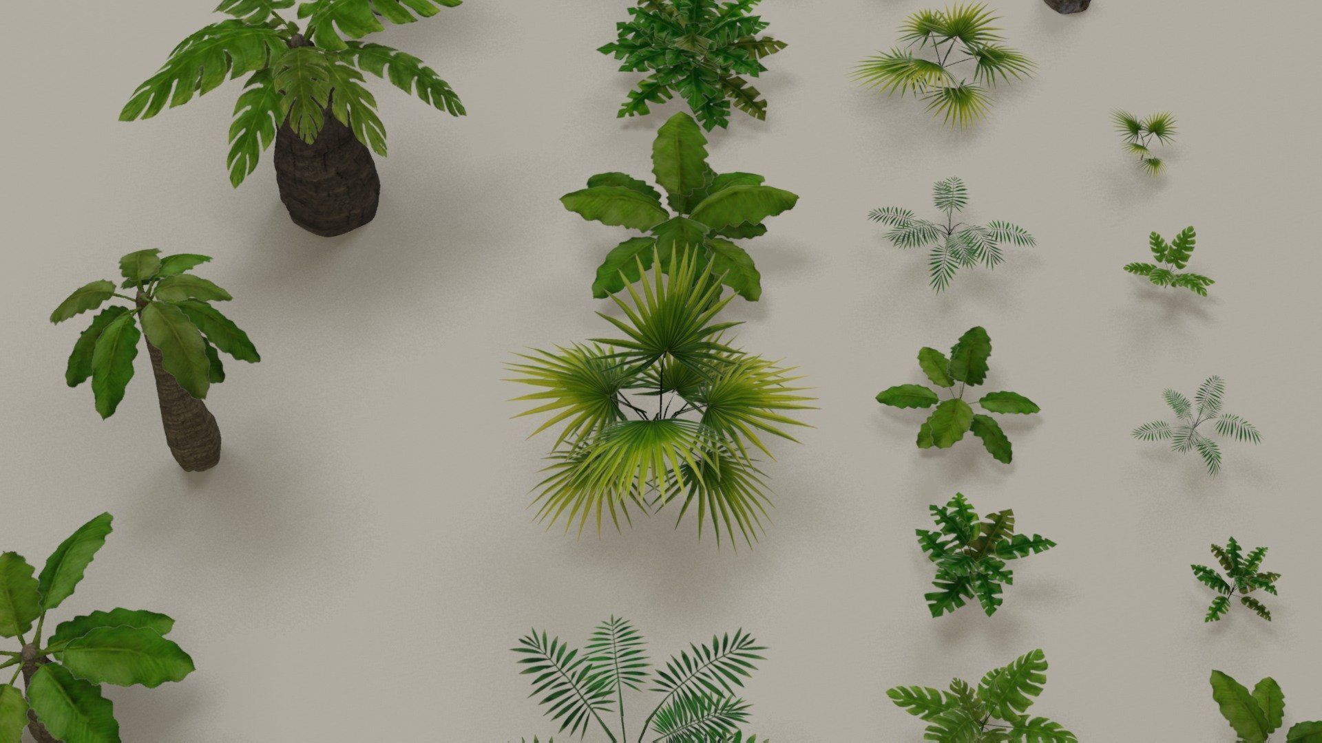 Tropical jungle plants and palms collection Low-poly 3D model_7