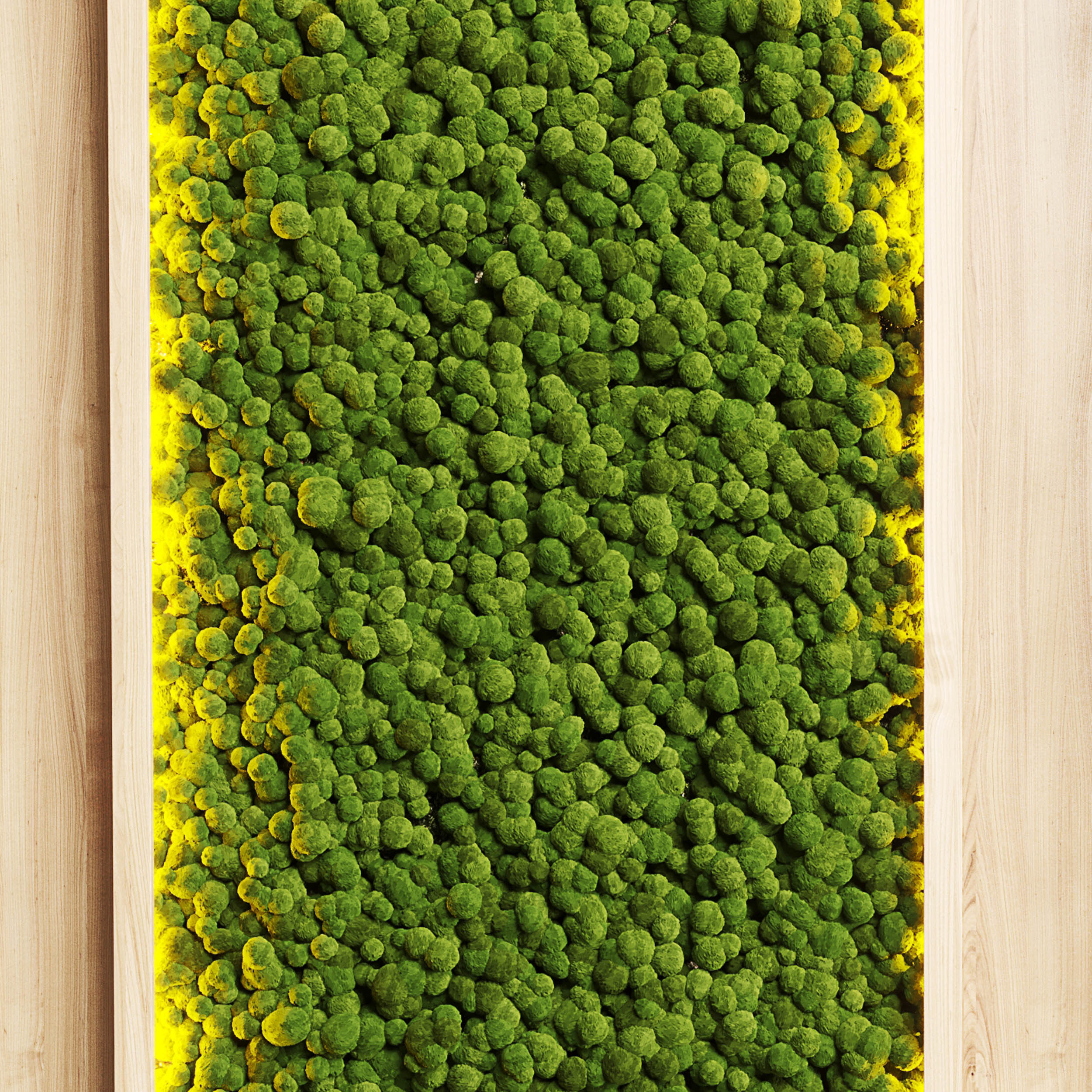 wall garden and vertical moss in wooden frame 22 3D model_2