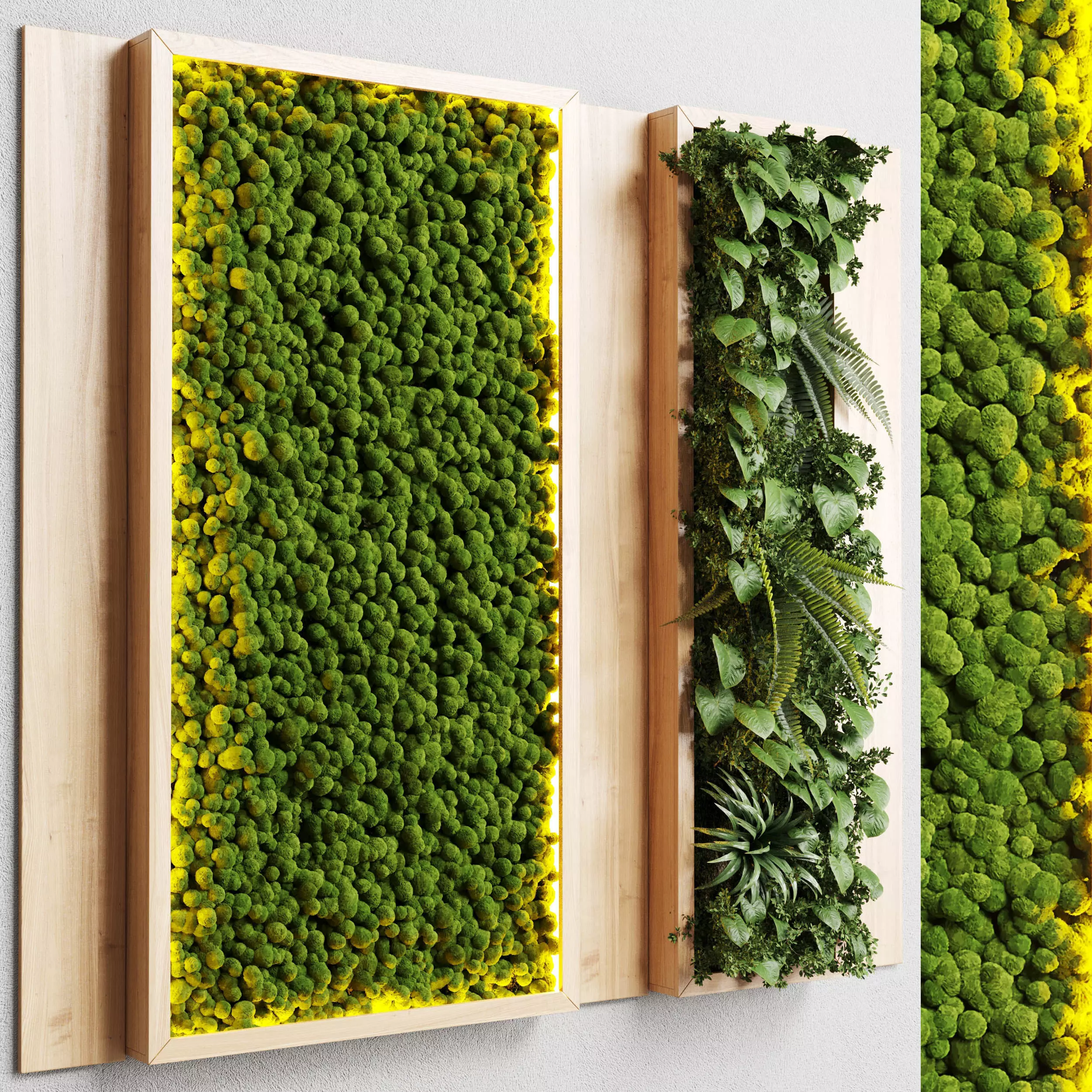 wall garden and vertical moss in wooden frame 22 3D model_0
