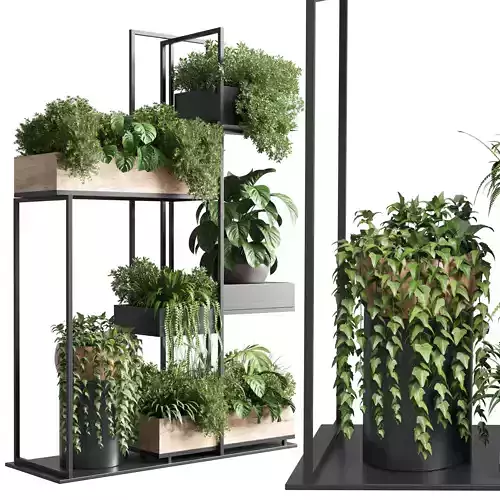 stand plant box collection Indoor plant  wooden and metal vase