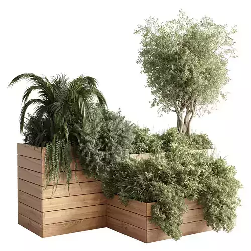 stand plant box collection outdoor plant wooden box pot