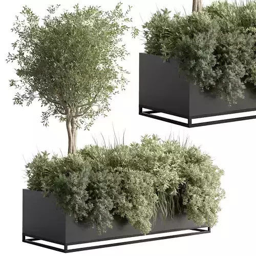 Box Plants on Stand collection of houseplants indoor metal vase