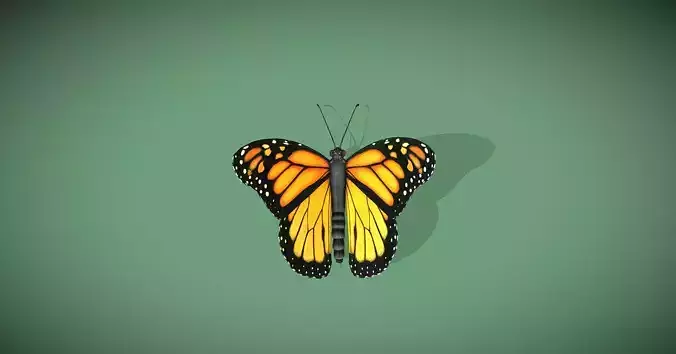 Yellow butterfly 