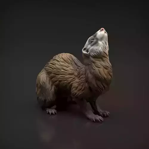 Ferret for 3D Printing 3D print model