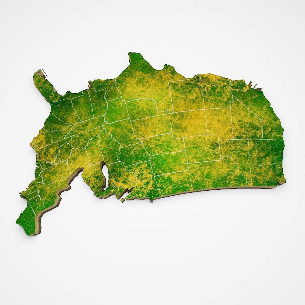America country map 3d model  3D model_3