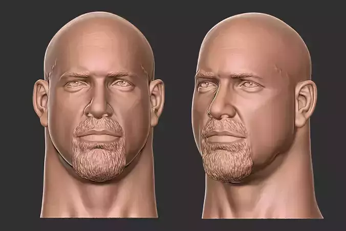 Bill Goldberg 3d print
