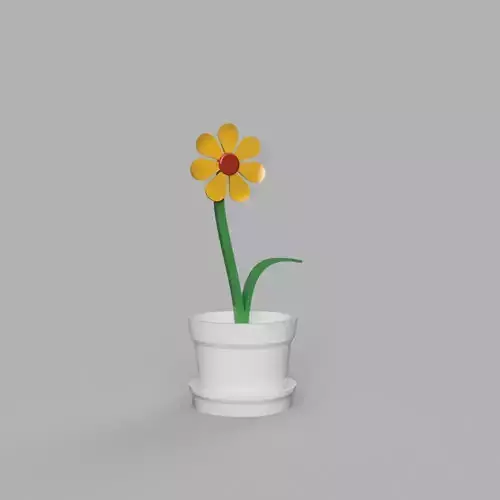 Flower in Pot