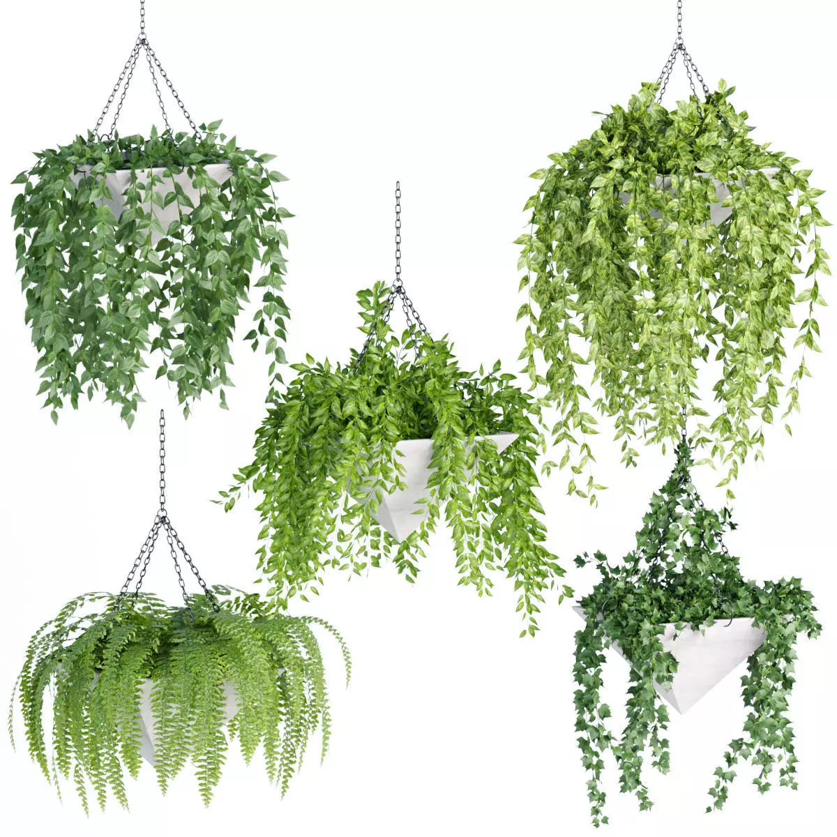 Hanging plant indoor collection vol 60 3D model_0