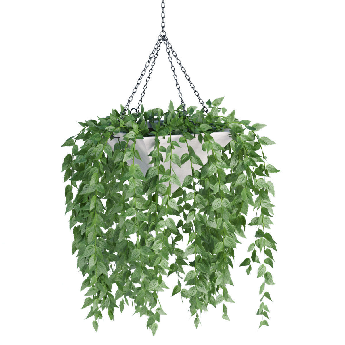 Hanging plant indoor collection vol 60 3D model_1
