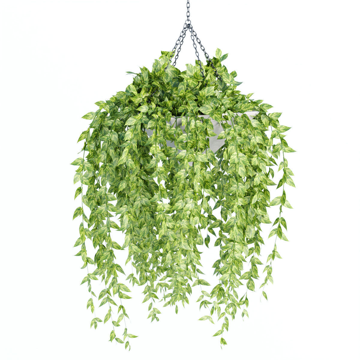 Hanging plant indoor collection vol 60 3D model_3