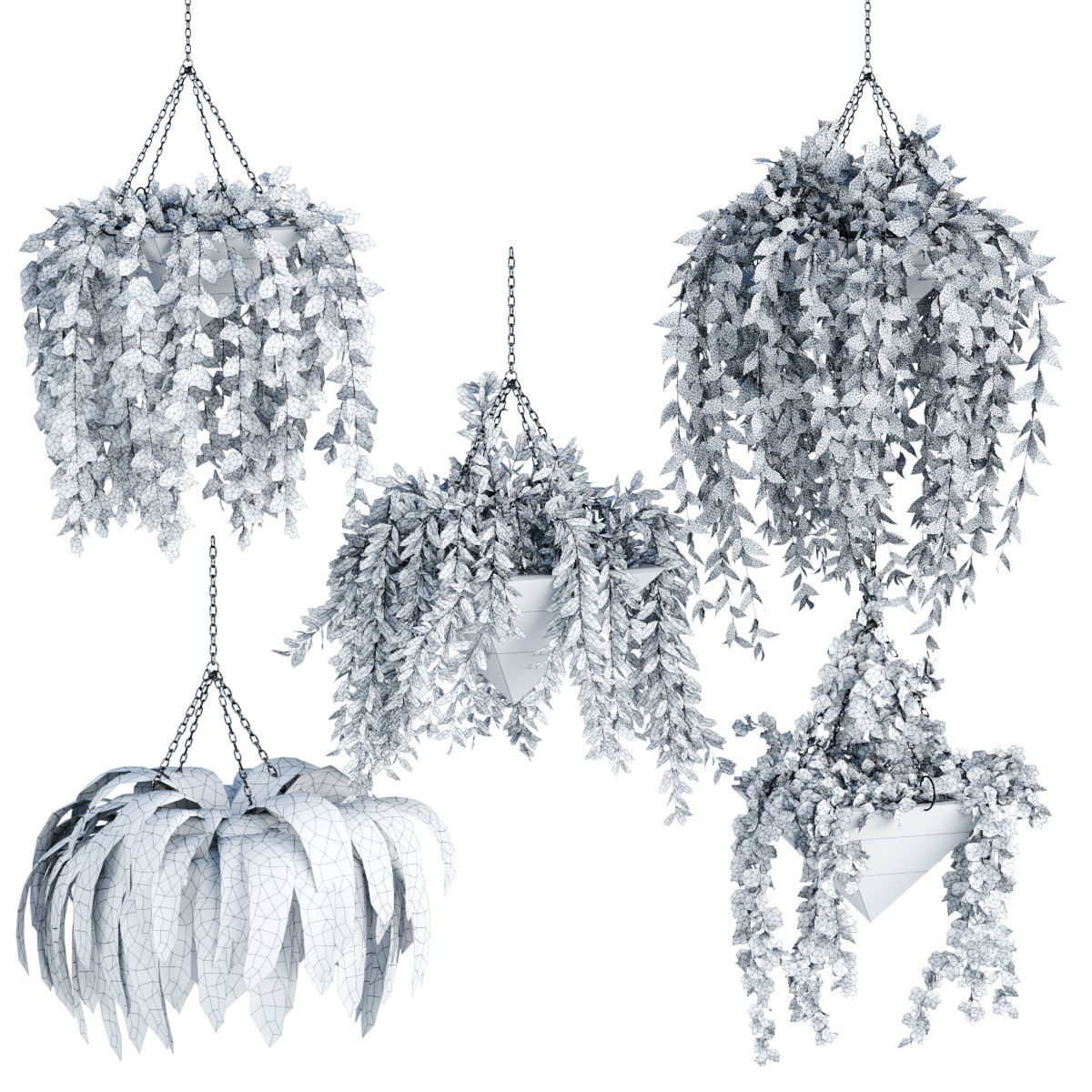 Hanging plant indoor collection vol 60 3D model_6