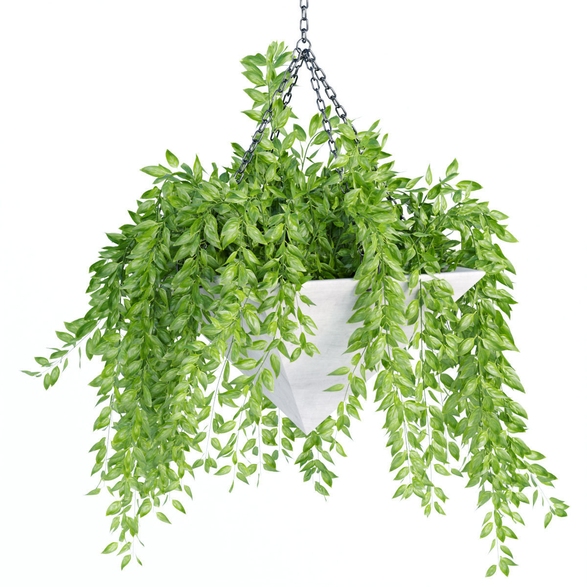 Hanging plant indoor collection vol 60 3D model_2