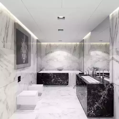 Luxury Bathroom