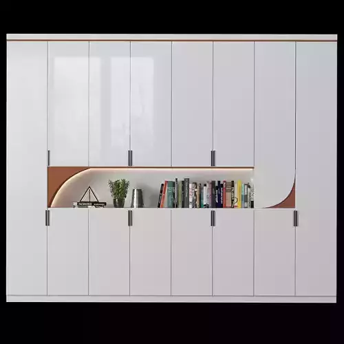 Cabinet with shelves 08